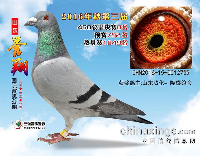 ���蹫�����8��