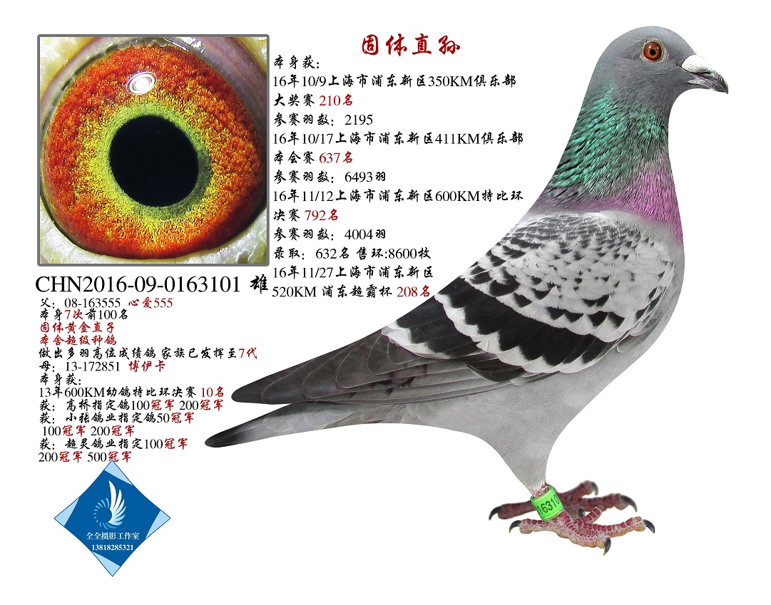 wֱO   D(zhun)ղ