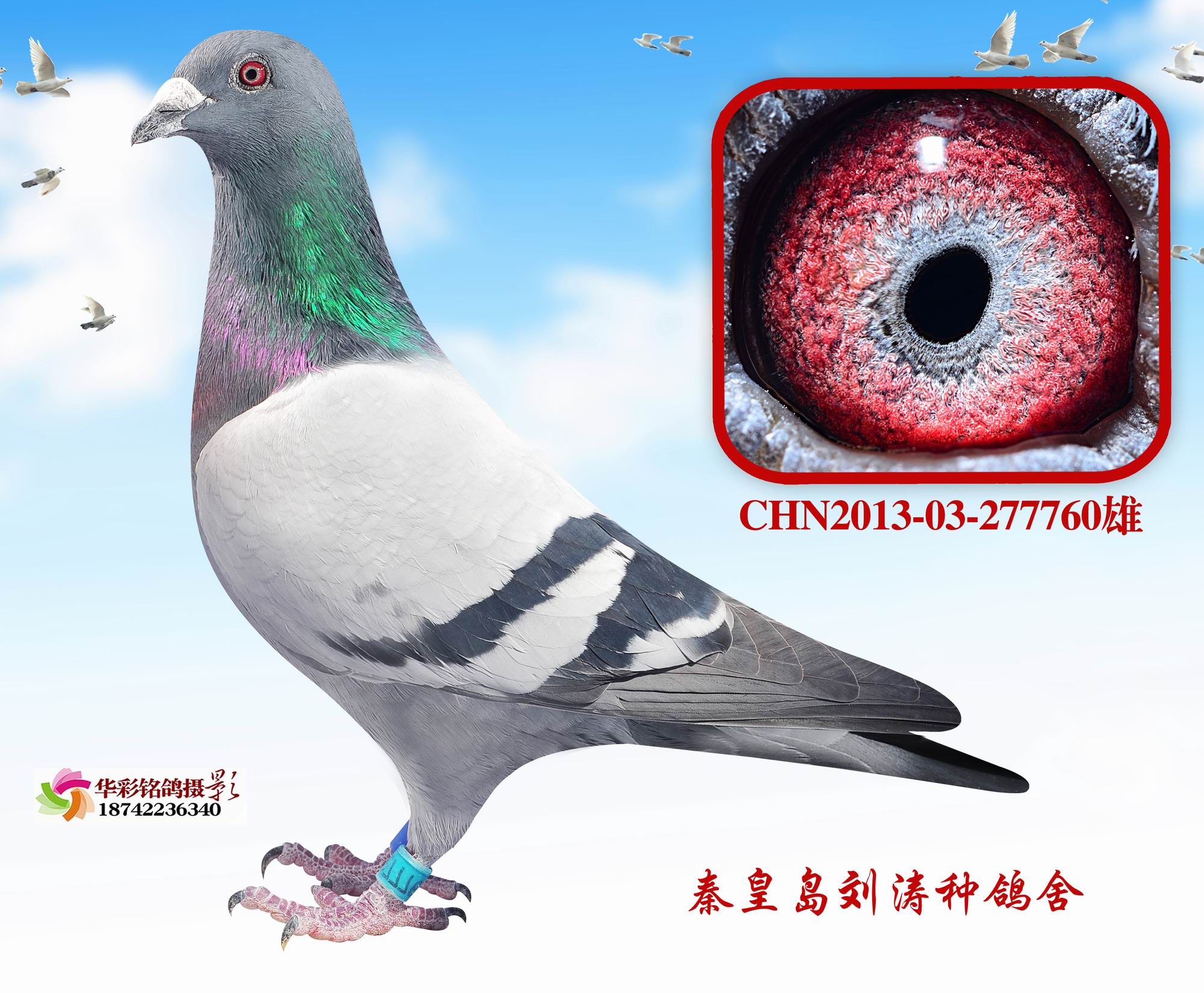 17괺ػʍuwQِ179H