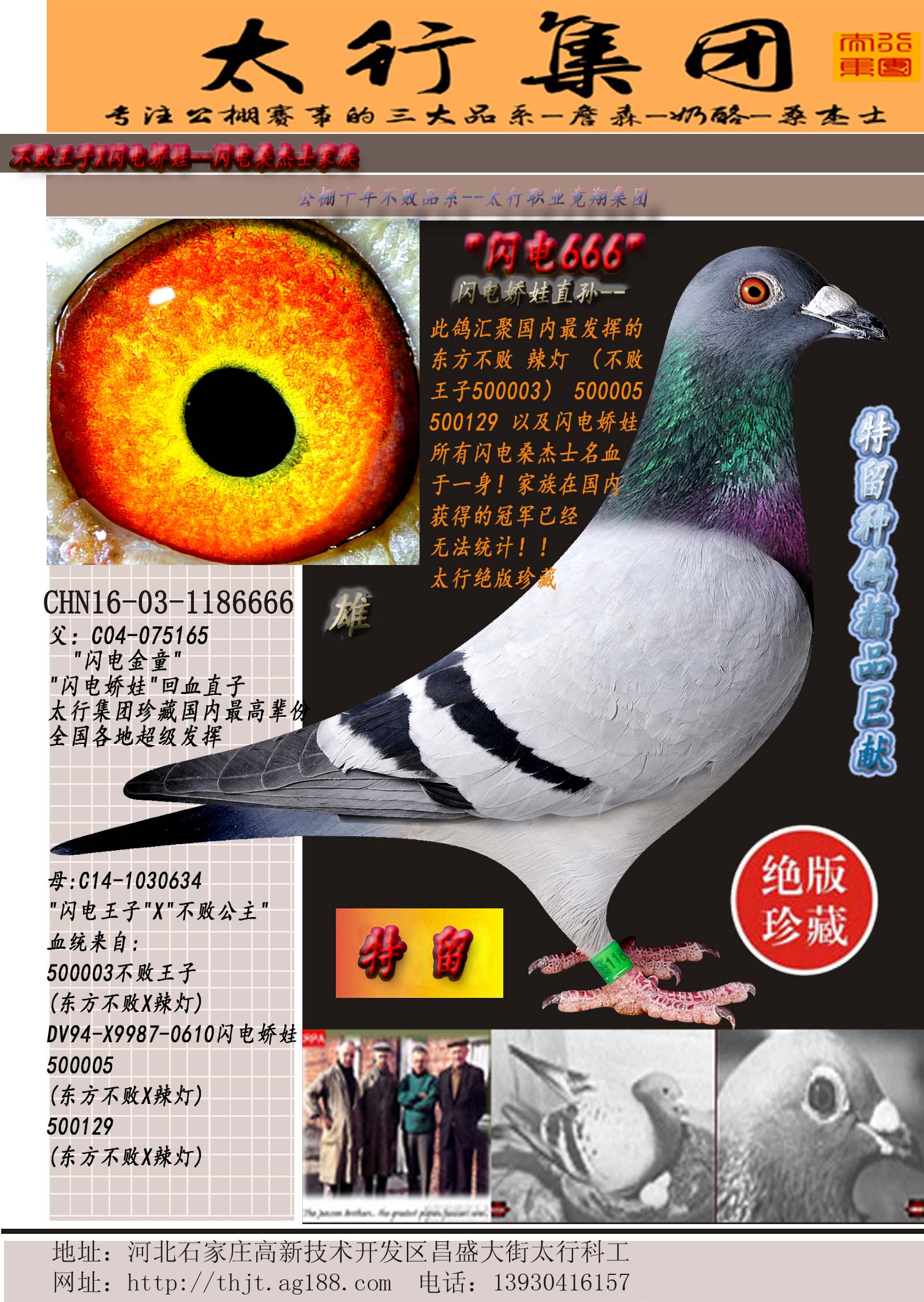 W늋ֱO