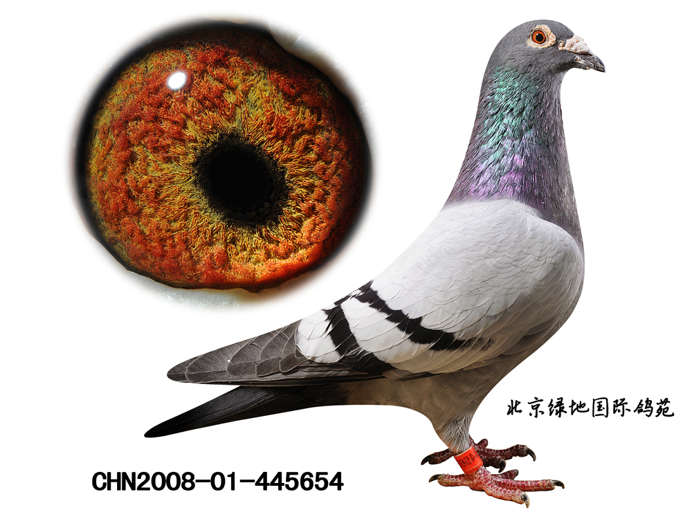 ҡǾֱŮ