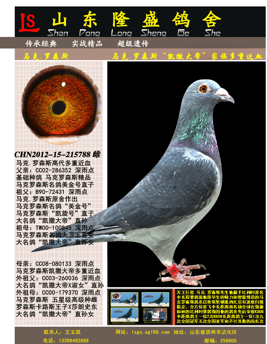 马克.罗森斯