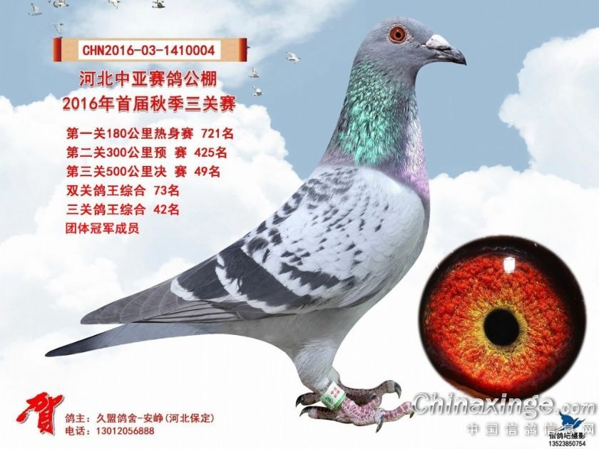 河北久盟鸽舍