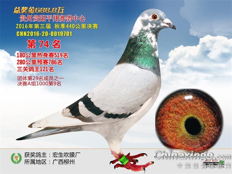 漪