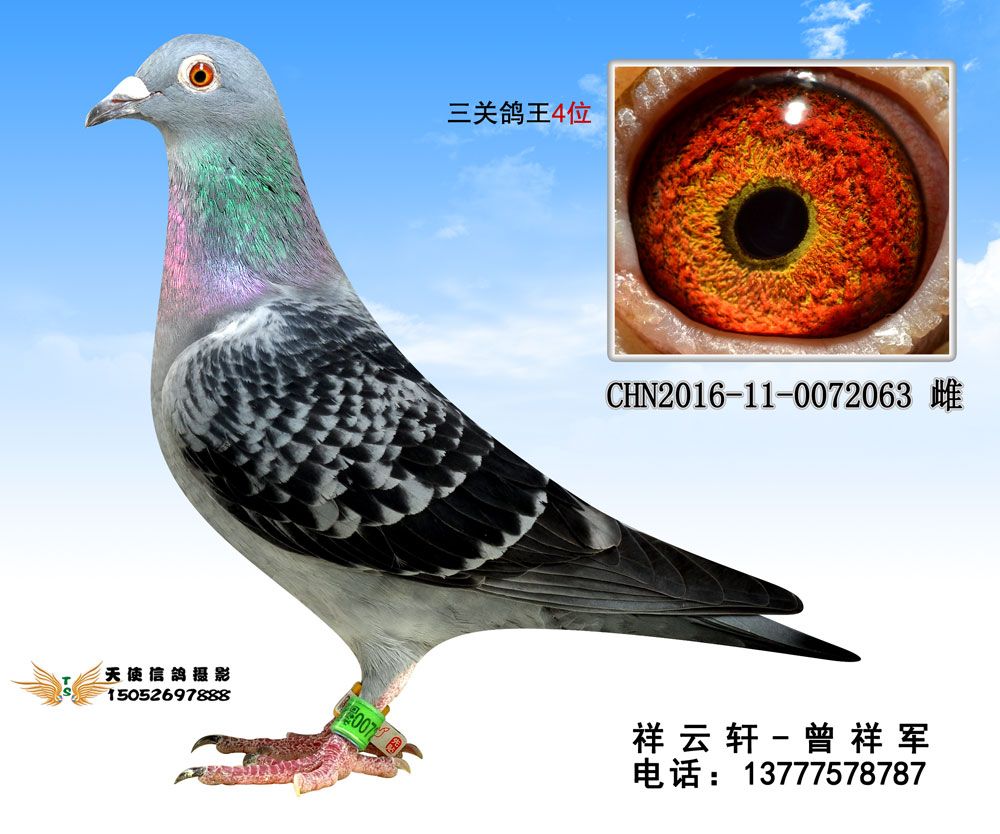 祥云轩98