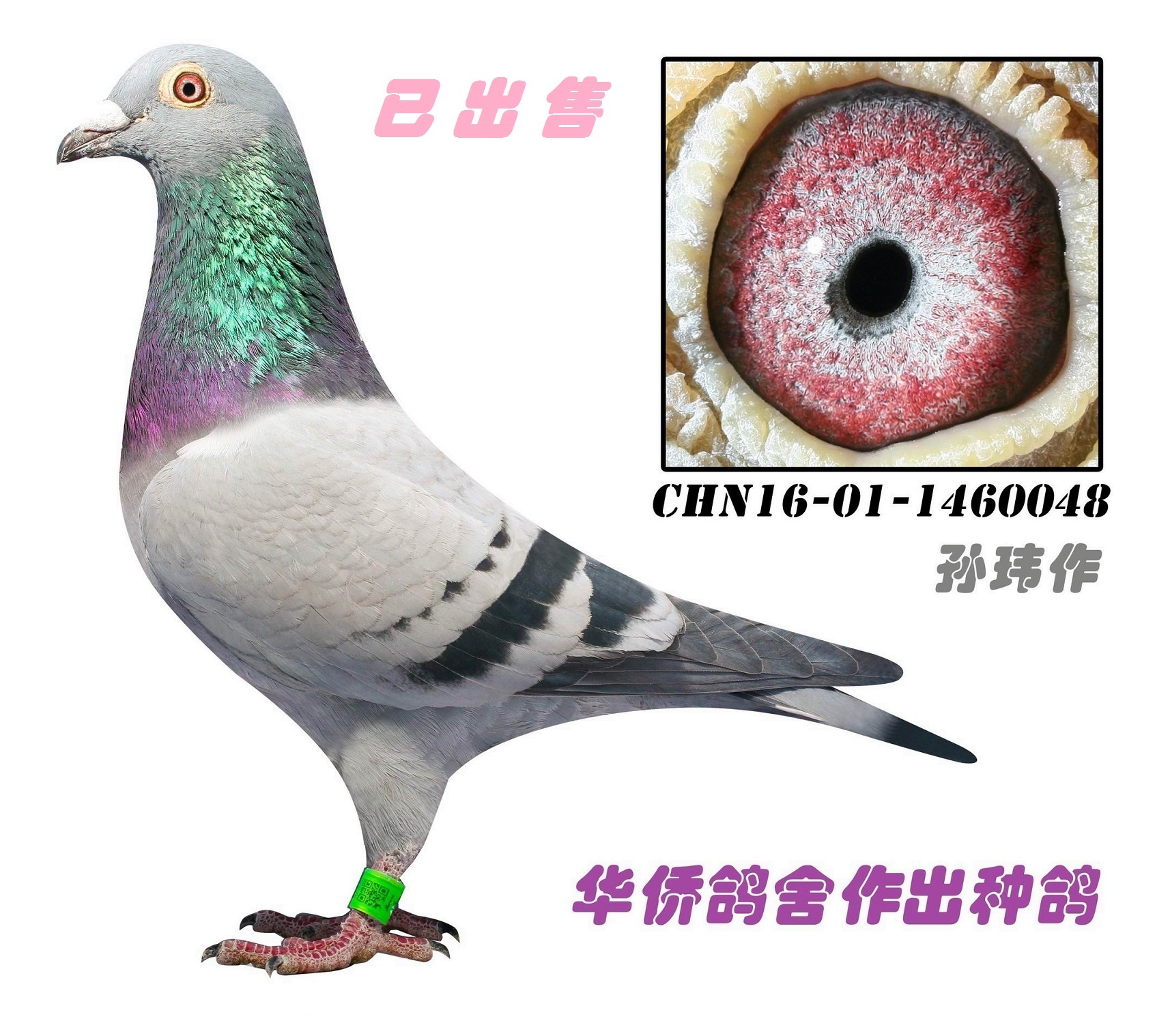 ��������˹ղɭ048��