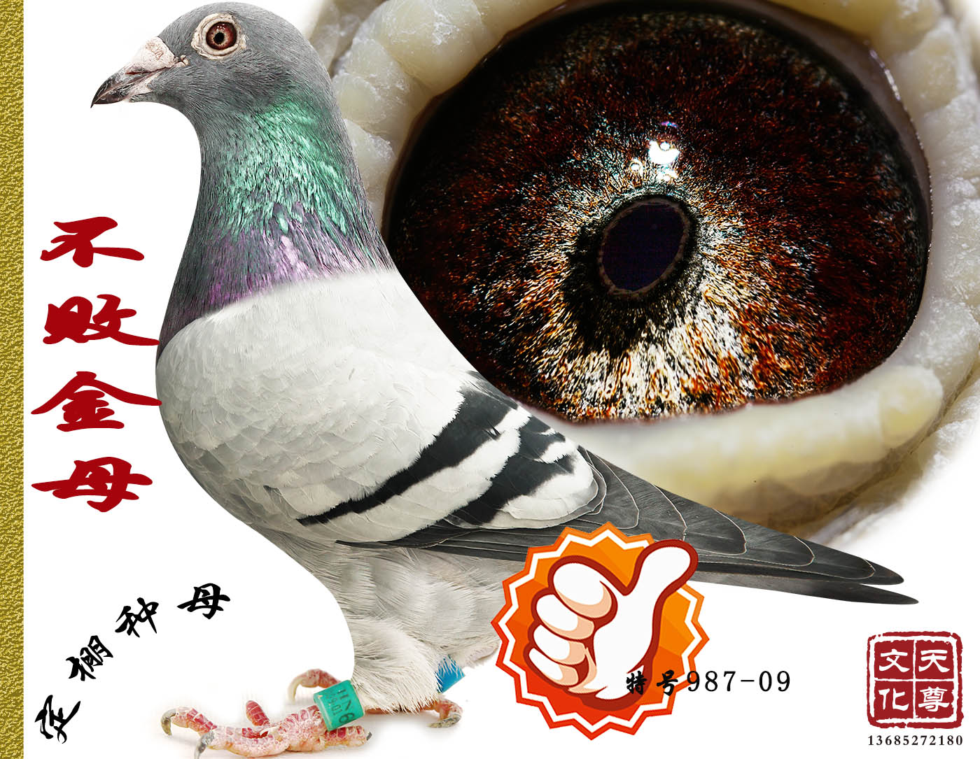       ̖987-09