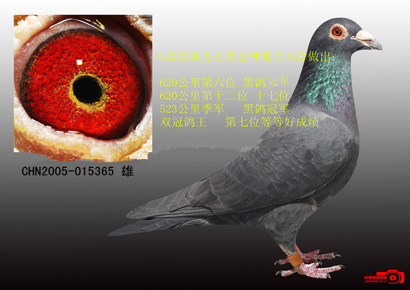 超級戰(zhàn)將