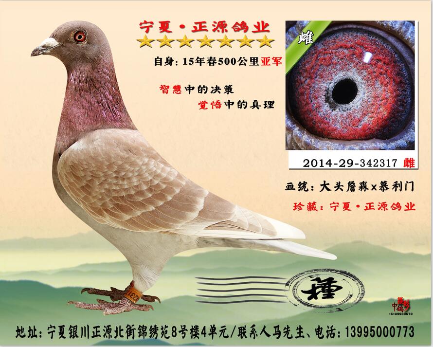 宁夏正源鸽舍