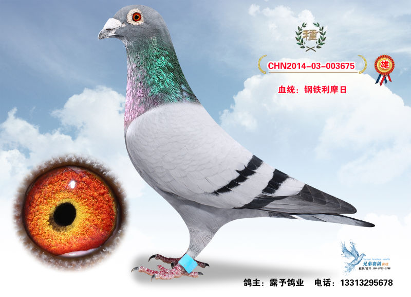 钢铁战士