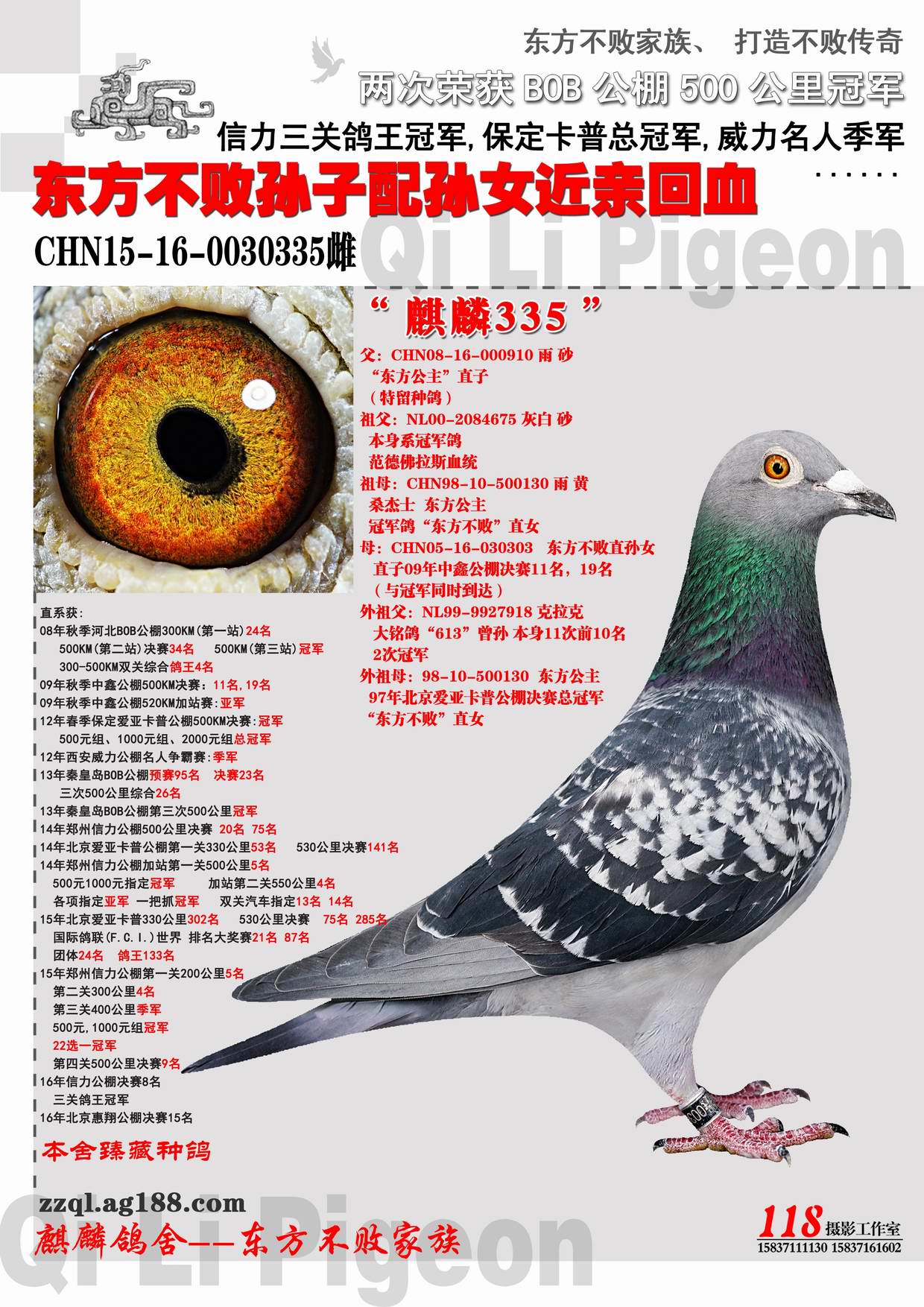 CHN15-16-0030335