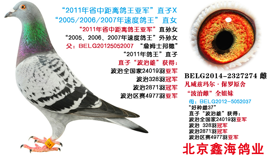 2011ʡоx܊ֱX20
