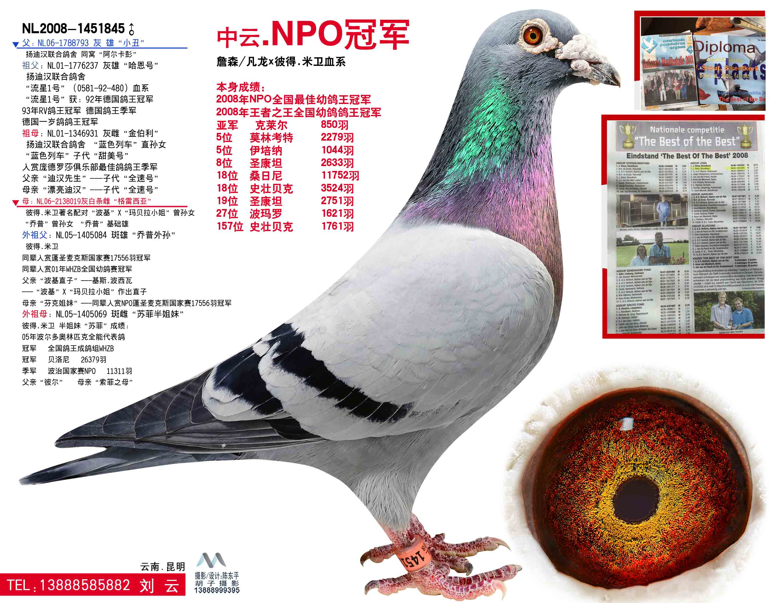 npo鸽王冠军/王者之王鸽王冠军