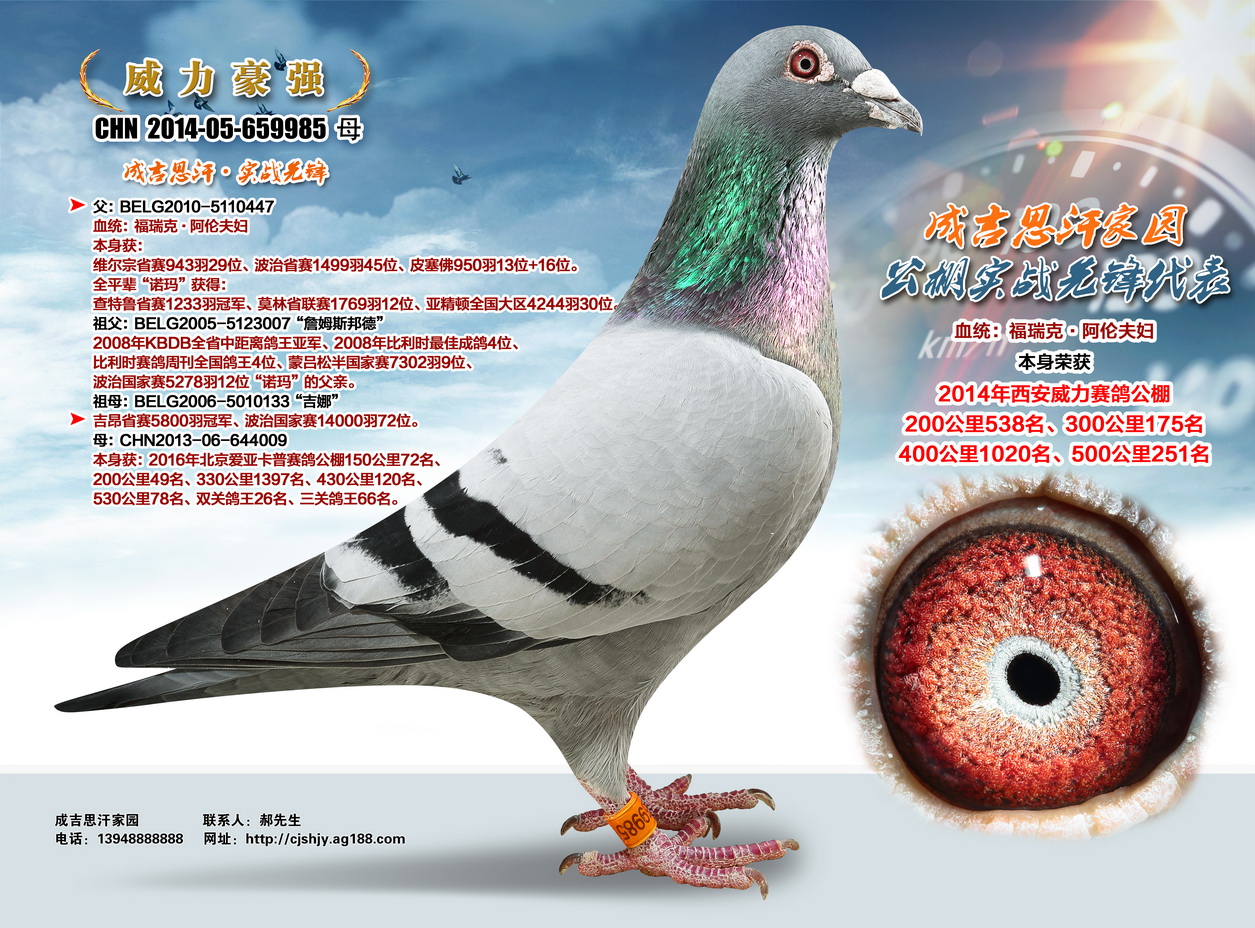 (qing)