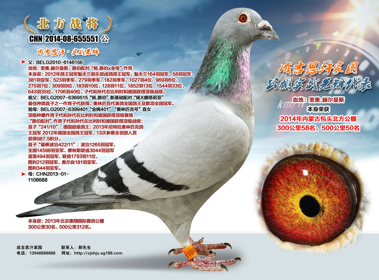 北方戰(zhàn)將