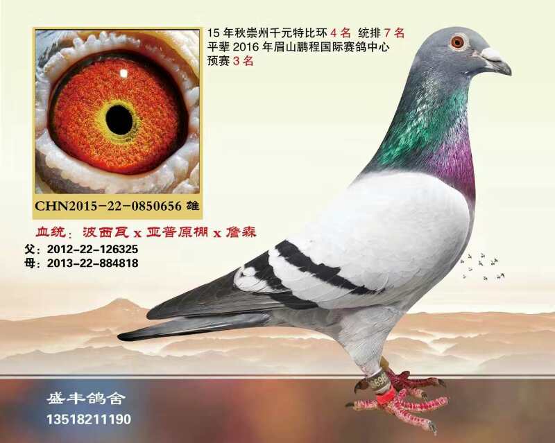 波西瓦