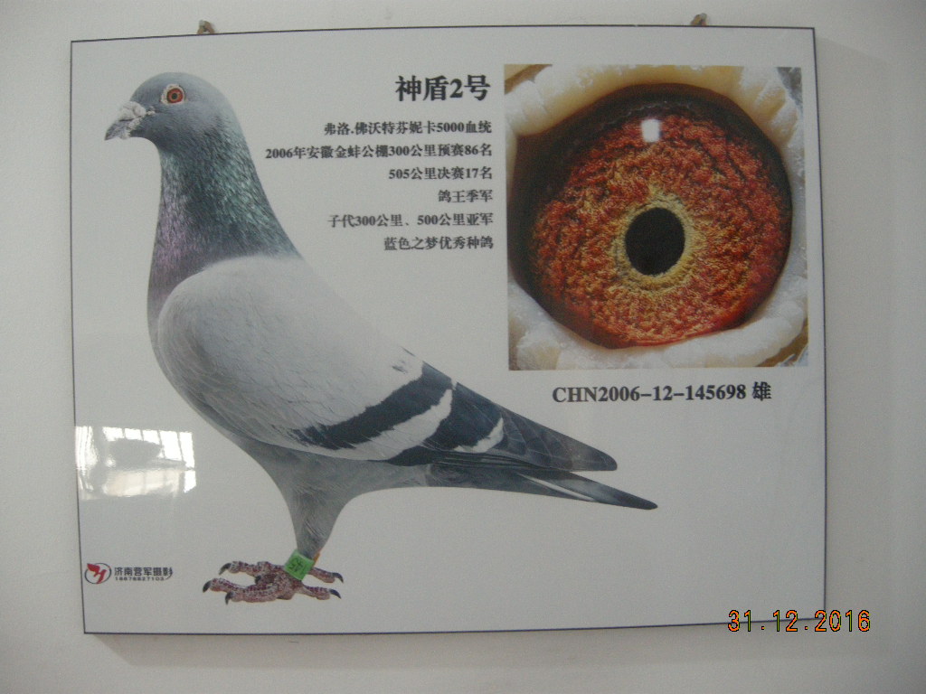 芬尼卡5000