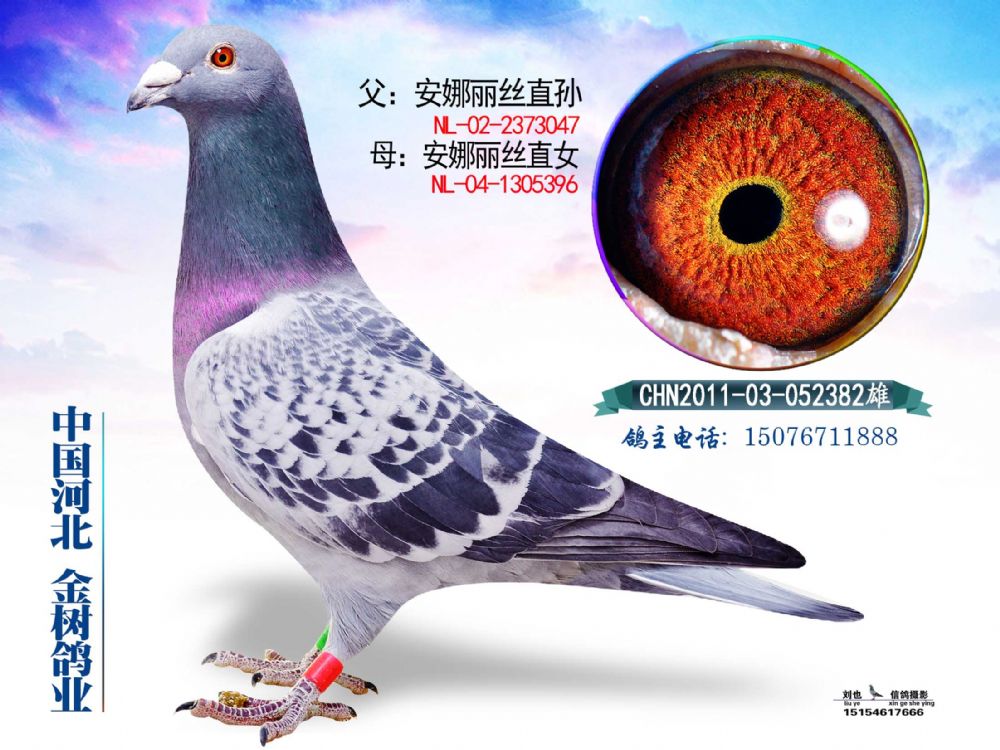 zֱOzֱŮ61