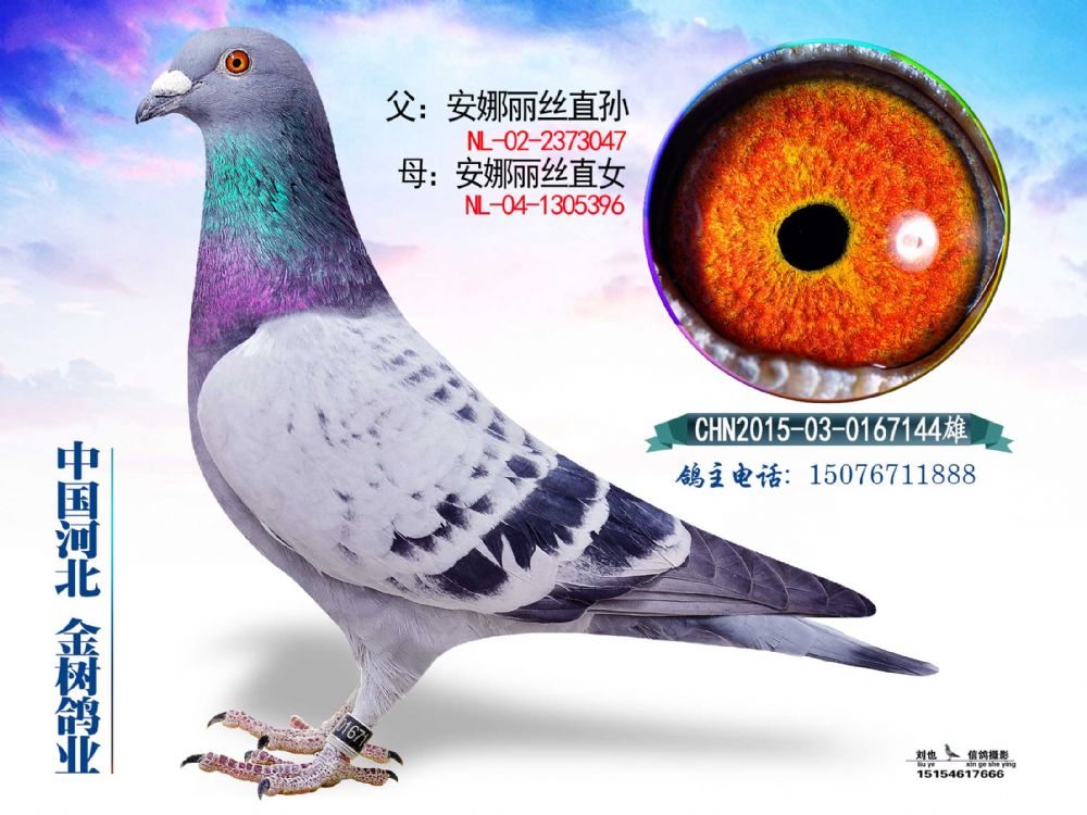 zֱOzֱŮ68