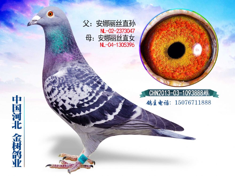 zֱOzֱŮ108