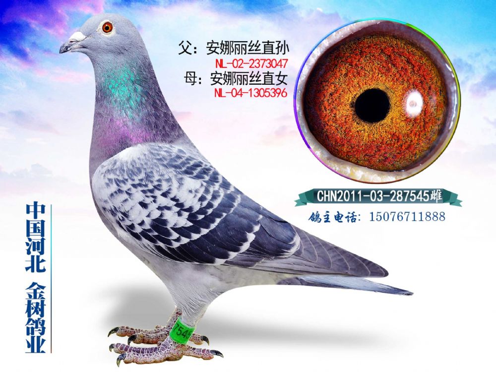 zֱOzֱŮ112