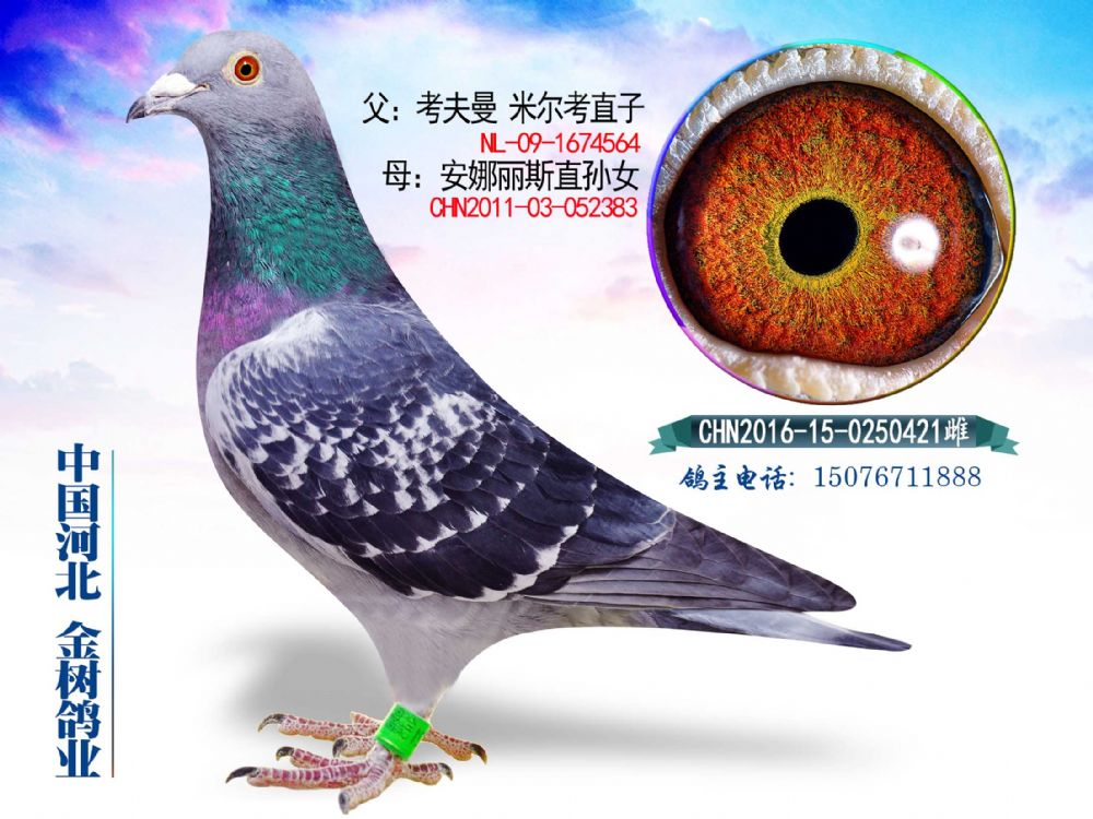 Ѫy(tng)144
