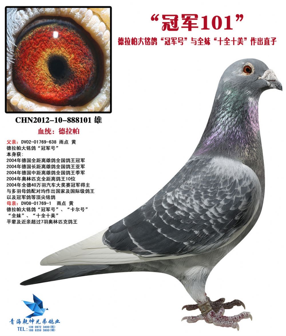 德拉帕"冠军号"直子