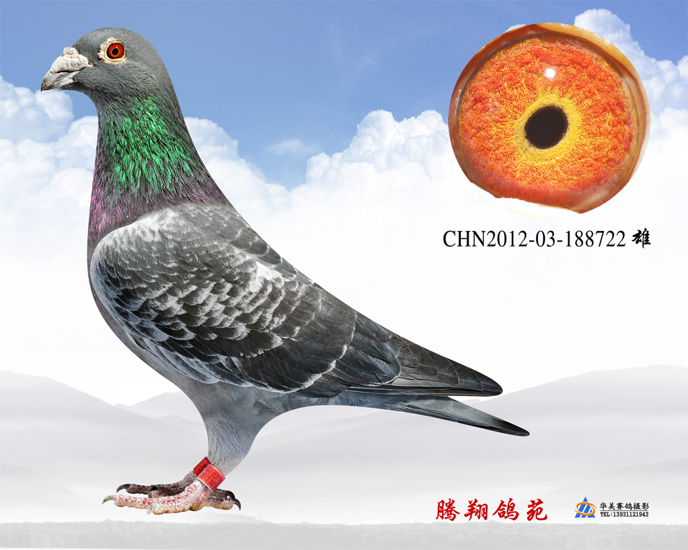 һʿH722
