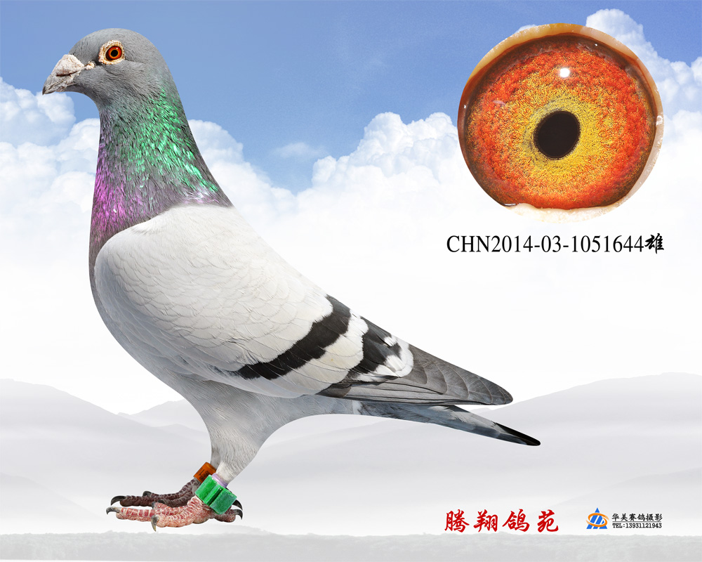 С