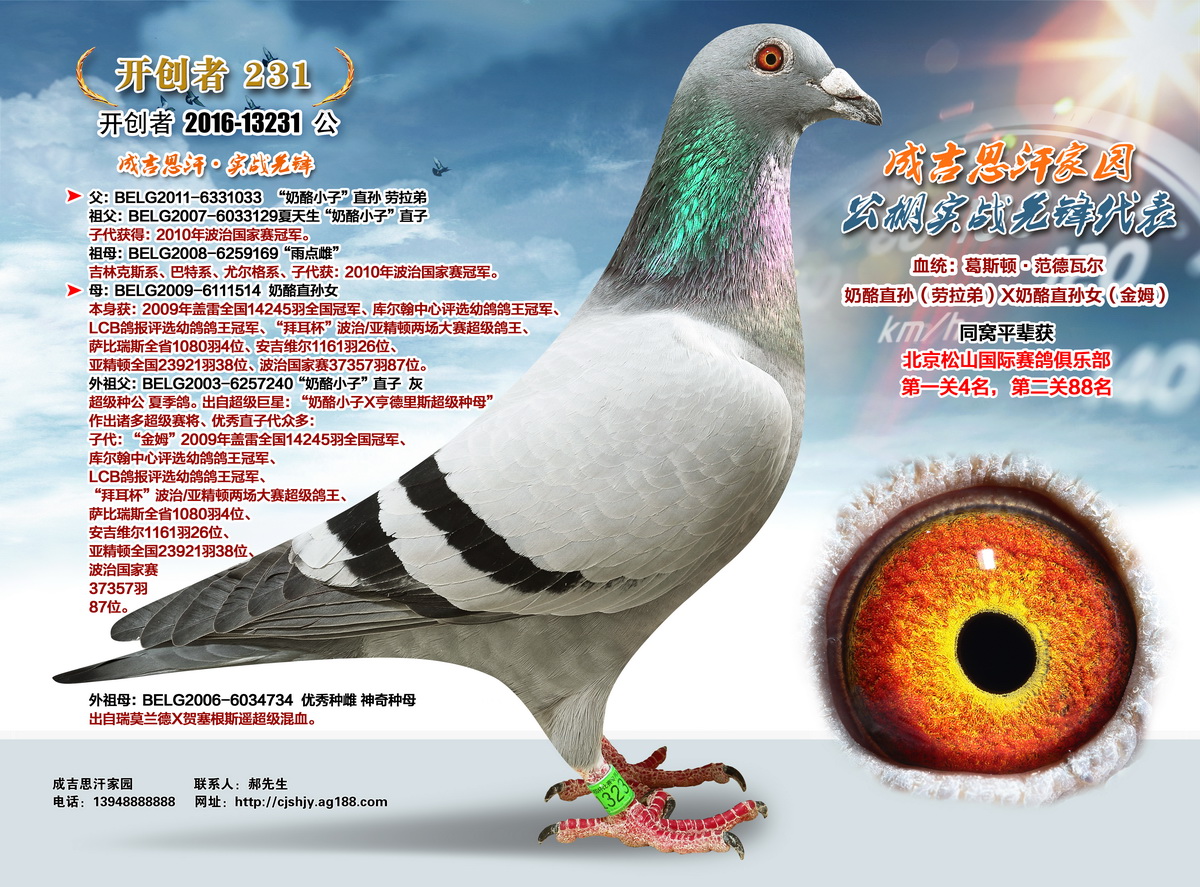 _(chung) 231