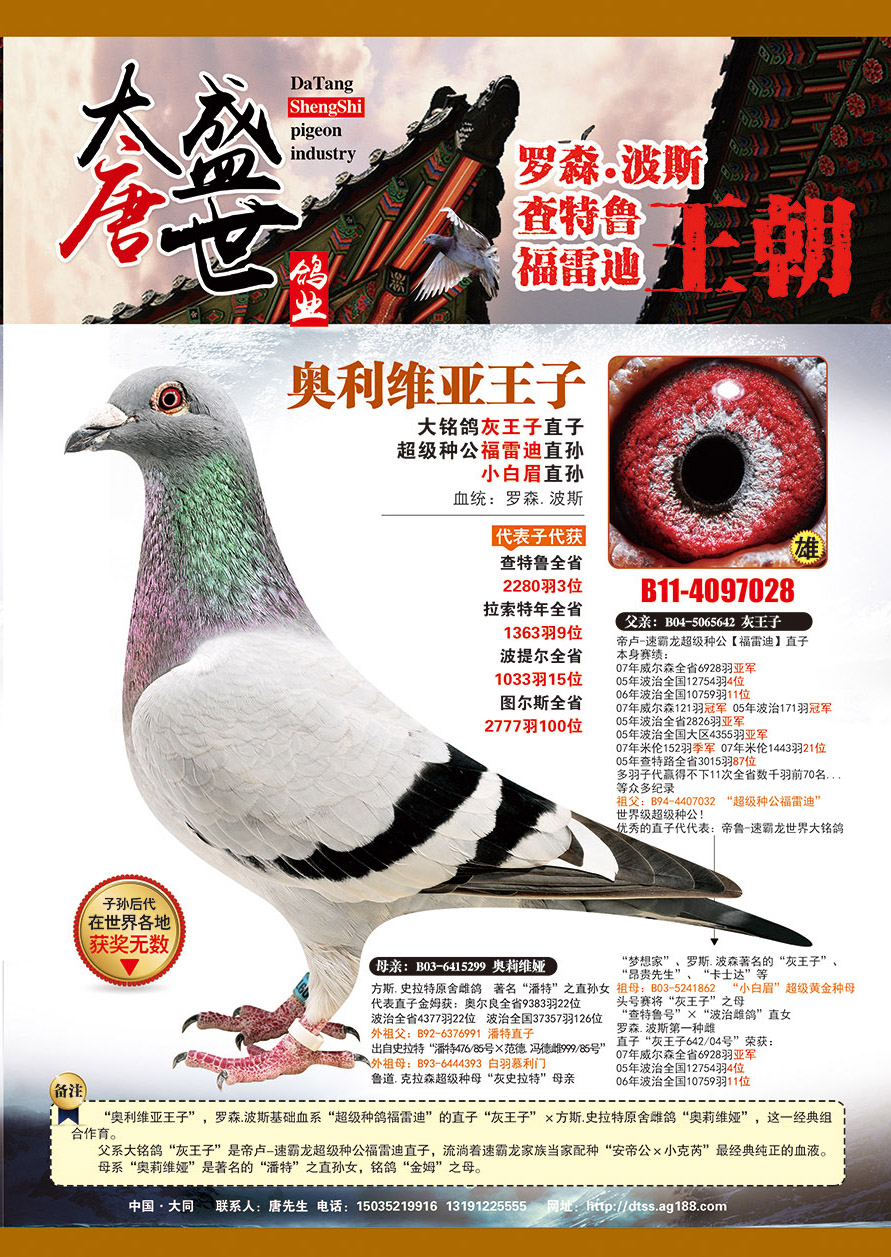 罗森.波斯《灰王子之子》
