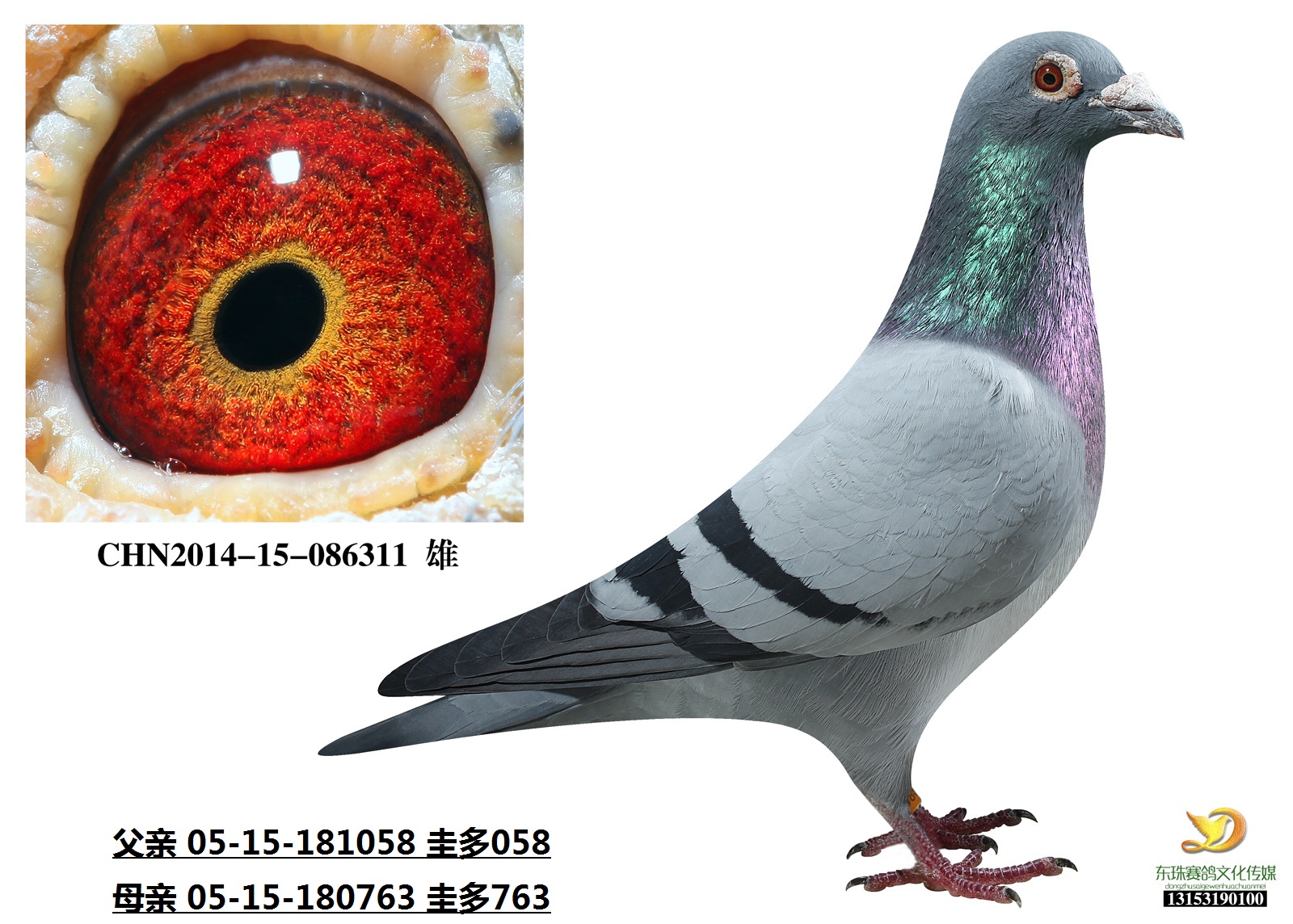 058ֱ086311