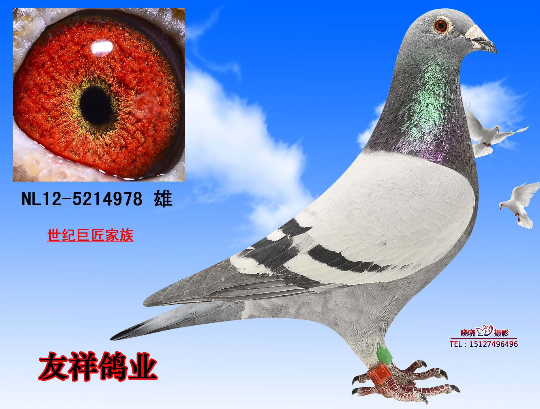 世纪巨匠家族978