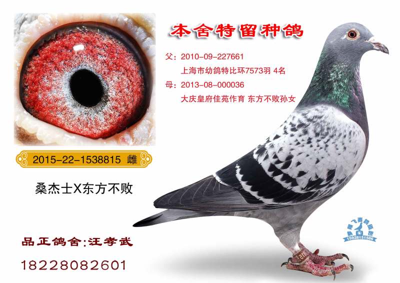 东方不败