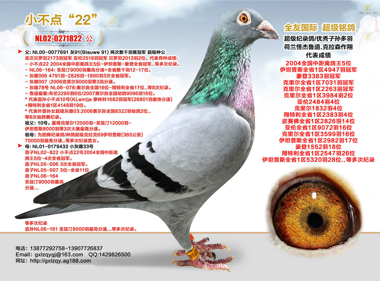 【鲁道.克拉森】_北京巅峰鸽舍_ ag188.com爱鸽商城_中信网