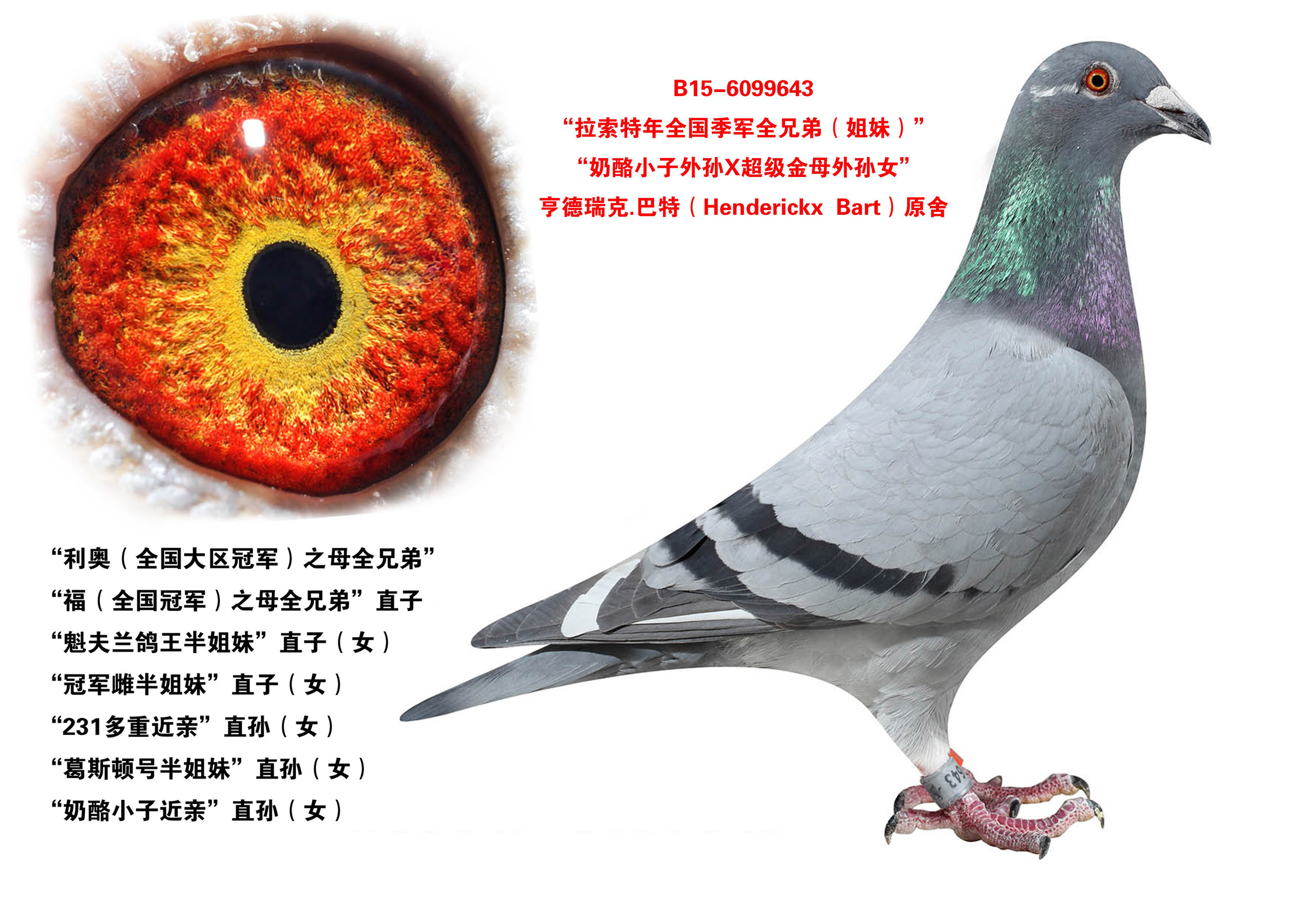 "拉索特年全国季军全兄弟(姐妹)"_晋宝翔_ ag188.