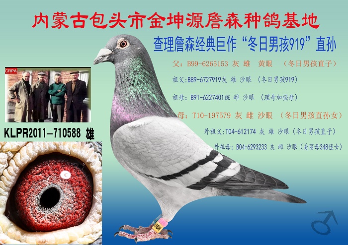 查理詹森原舍冬日可兰普588