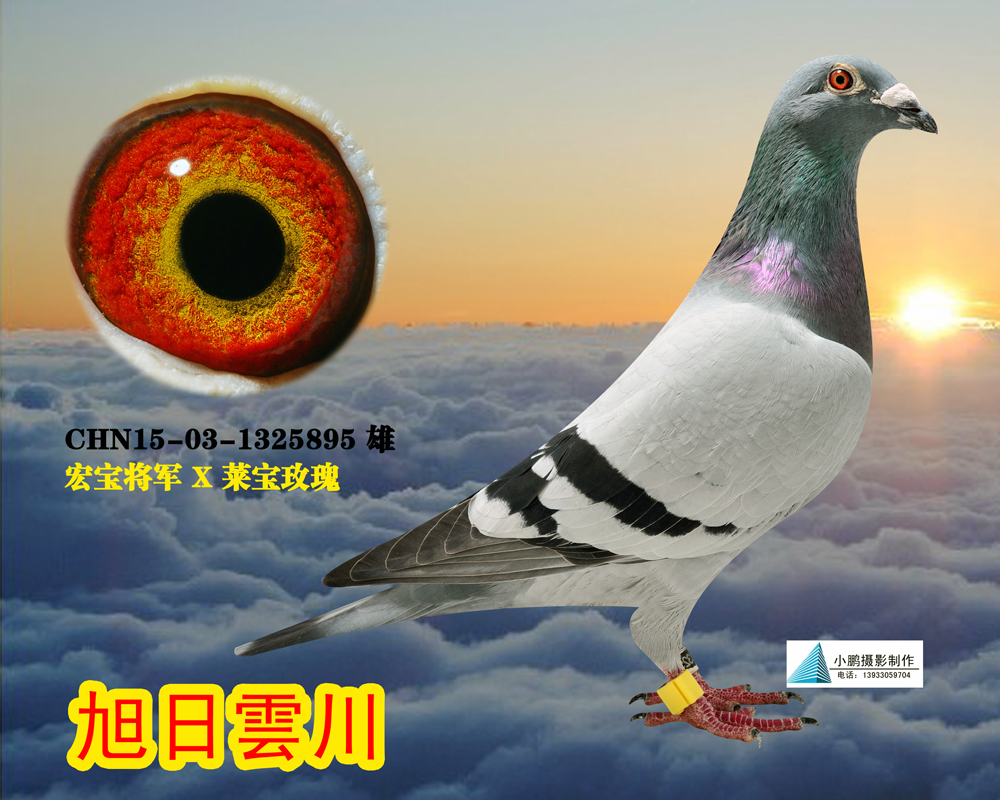 7Ѫ