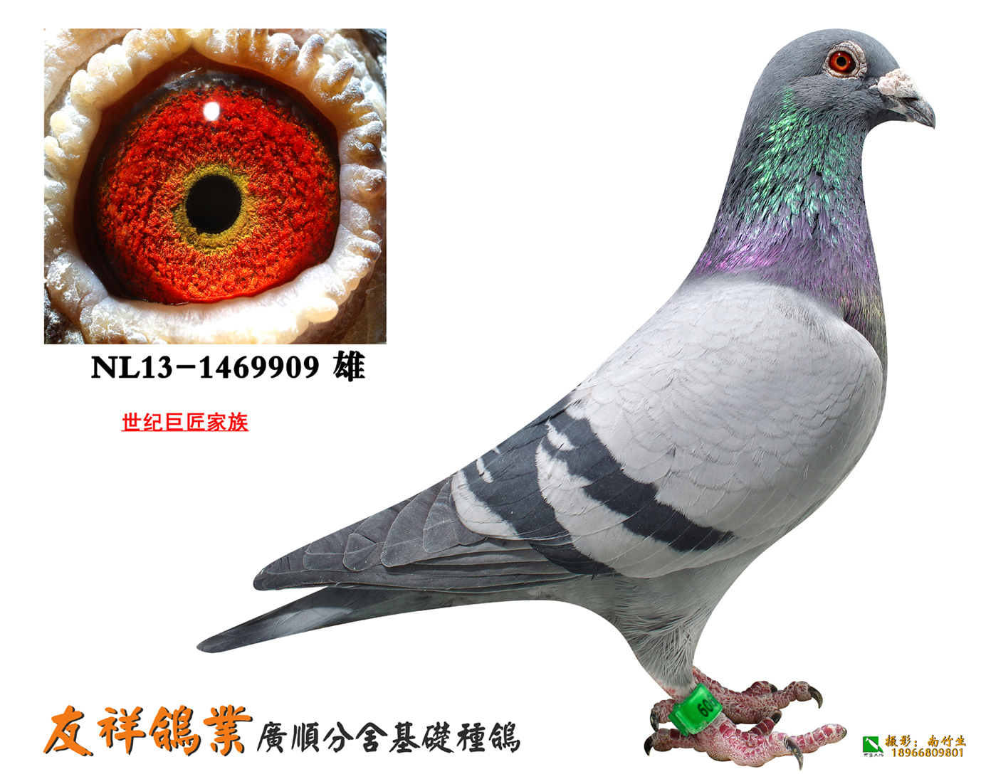 世纪巨匠家族909