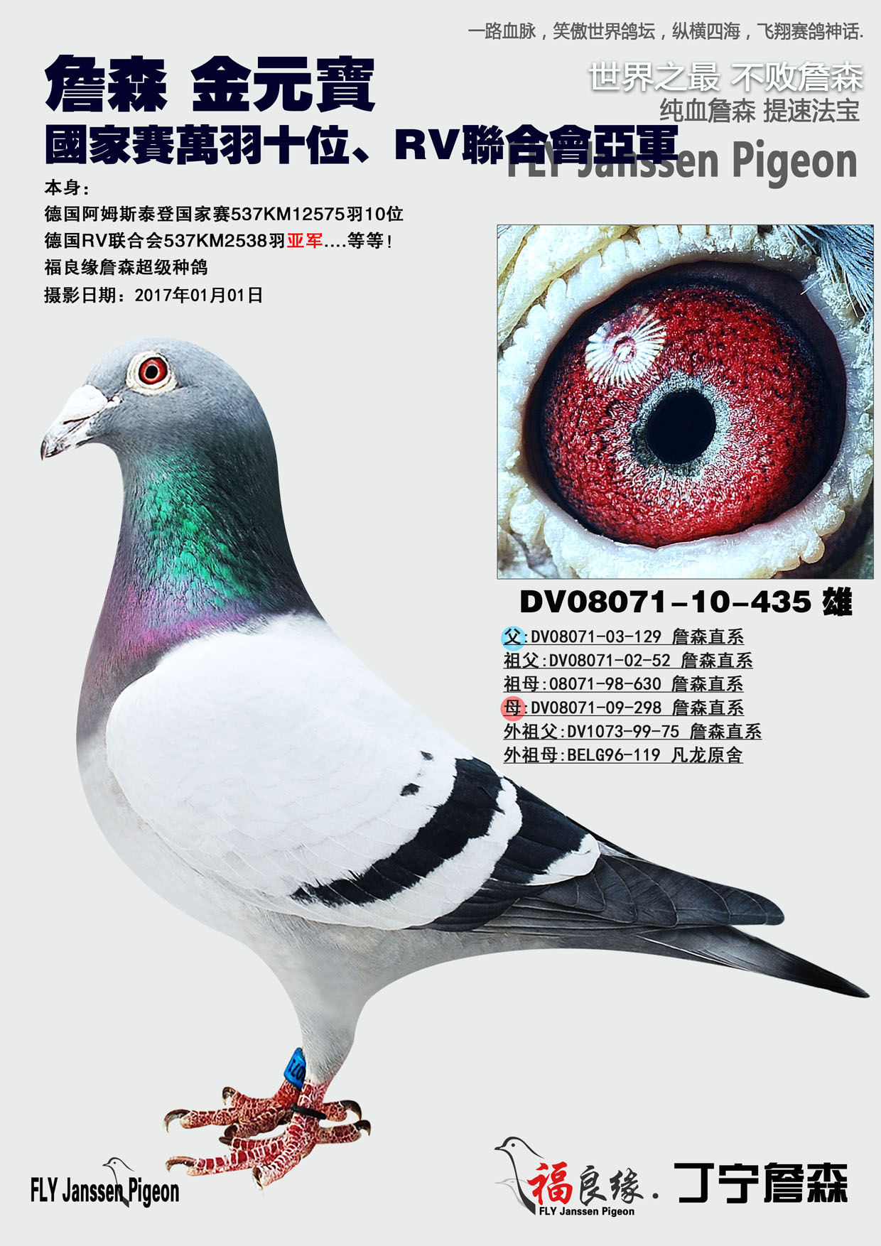 詹森金元宝 德国rv联合会亚军