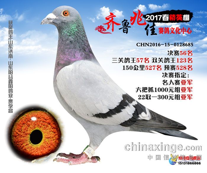 齐鲁兆佳精英春棚名人亚军