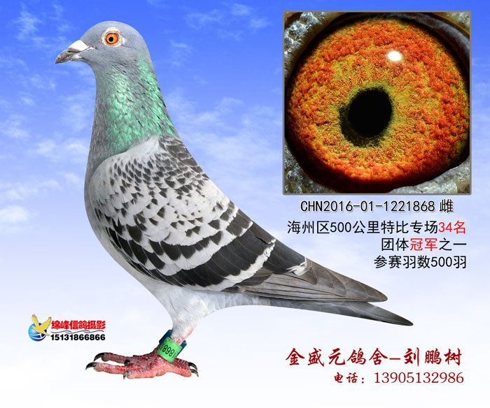 ر34
