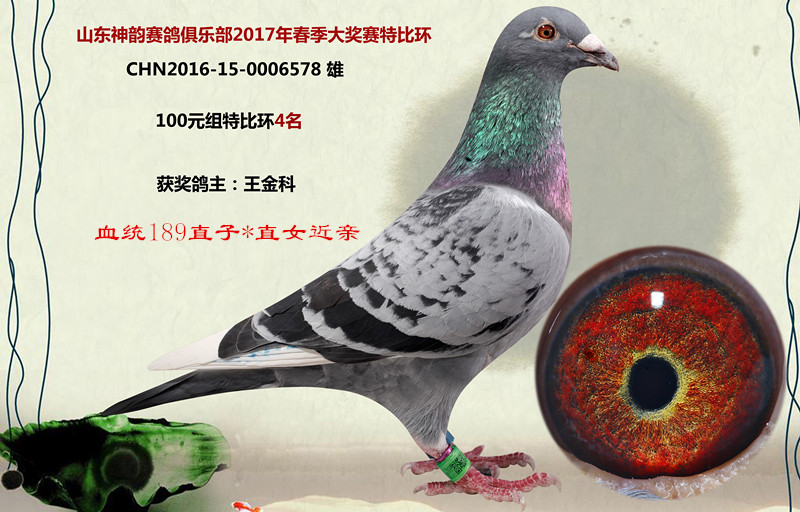 100ԪMرȭh(hun)