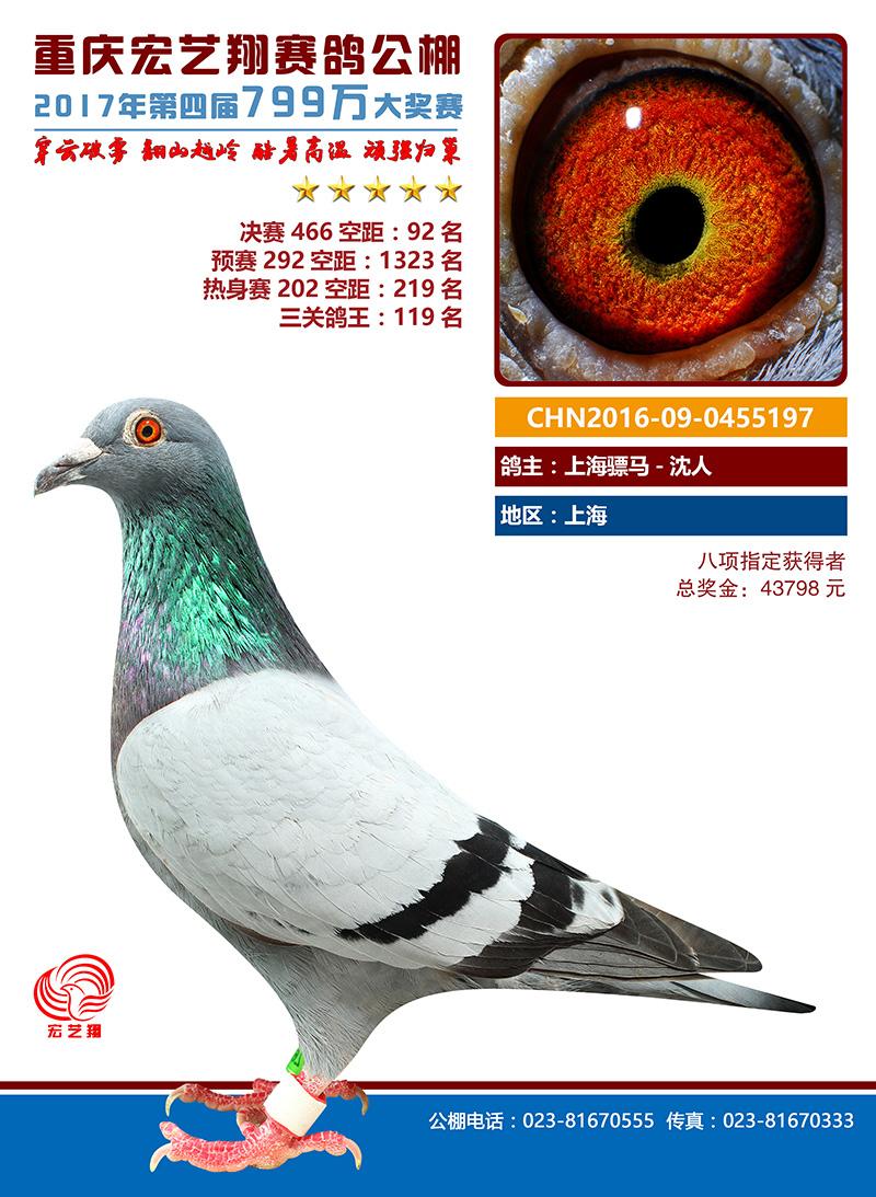 R5197