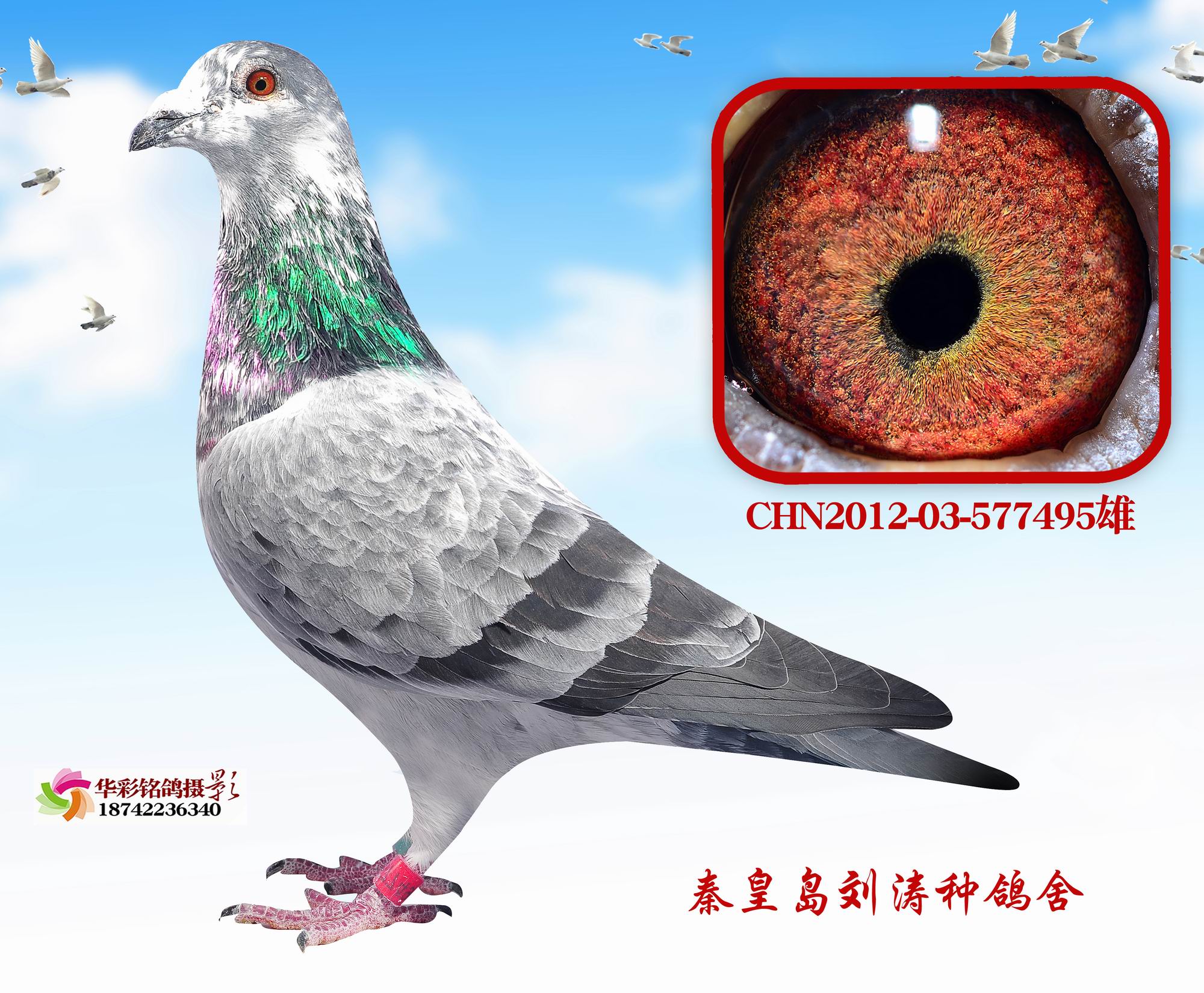 17괺ػʍuwQِ198H