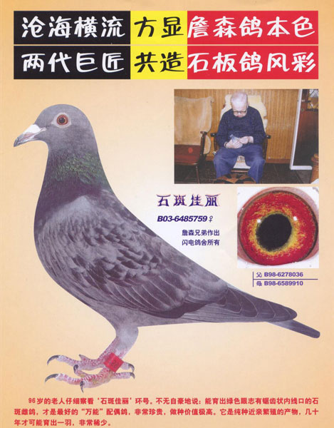 詹森原棚子代