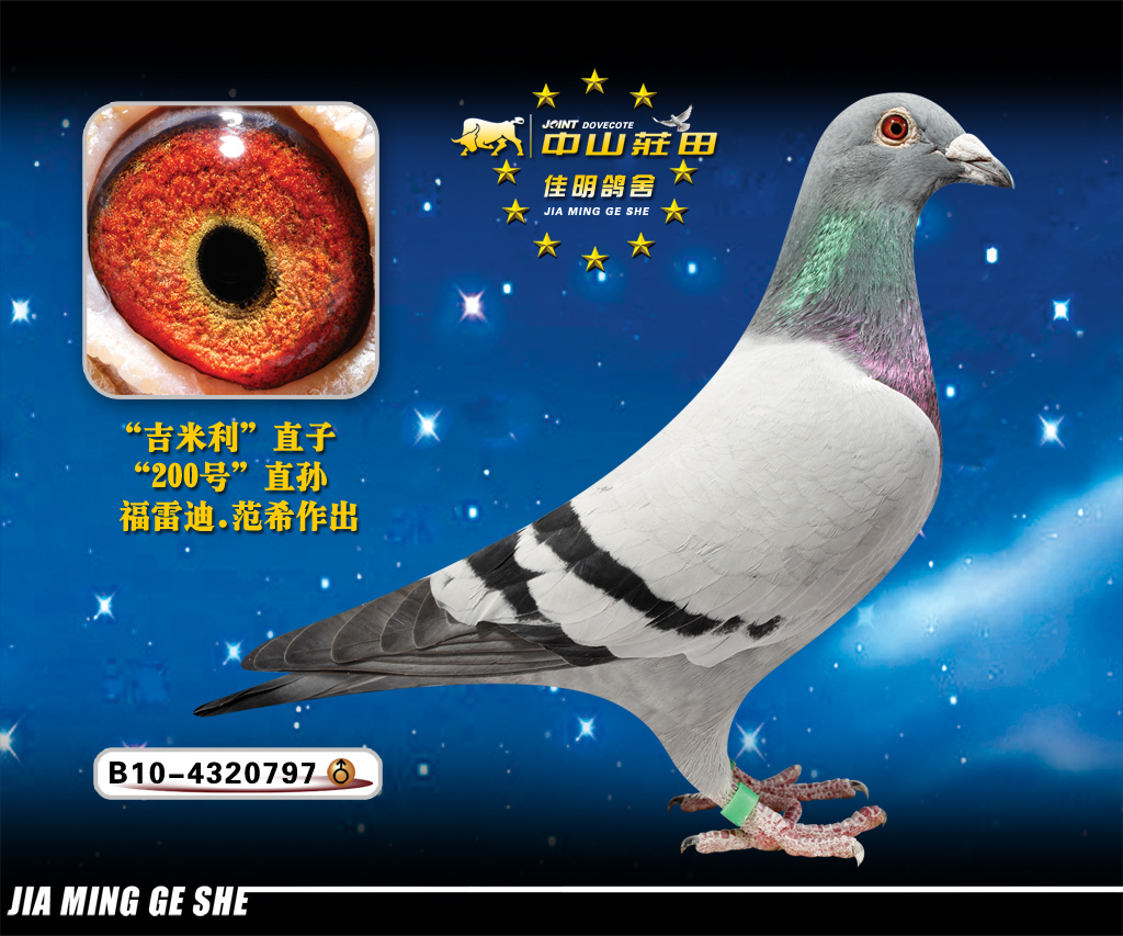 速霸龙797