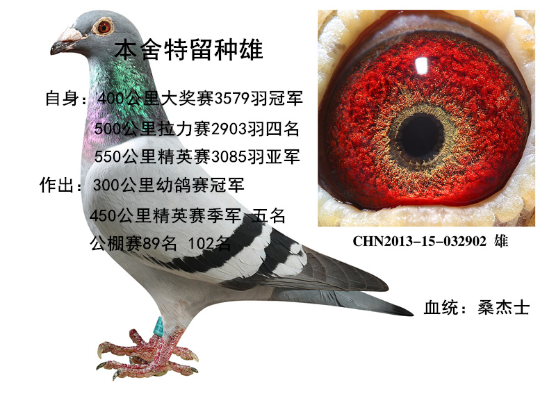 桑杰士超级种雄