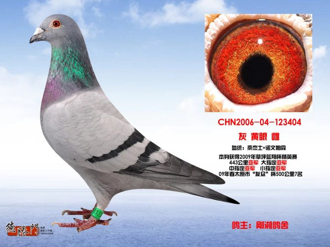 2009年草坪精英赛亚军-桑杰士x诺文