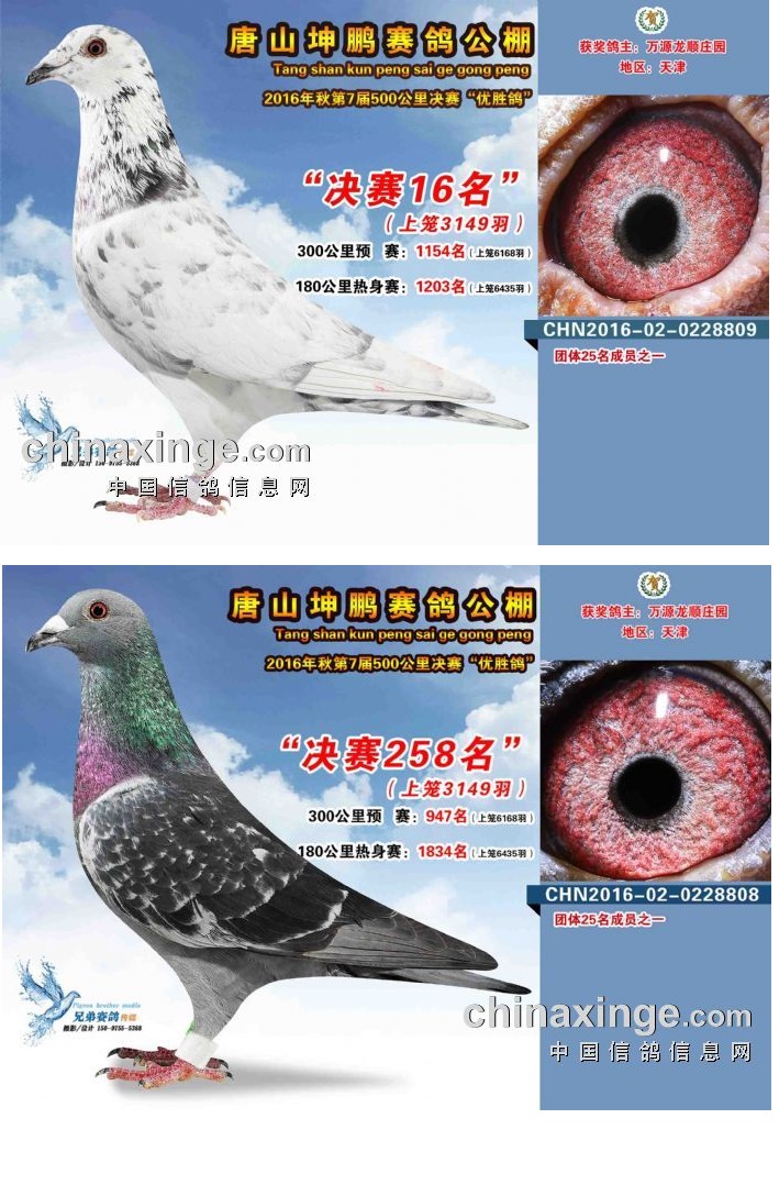 公棚决赛16名与258名